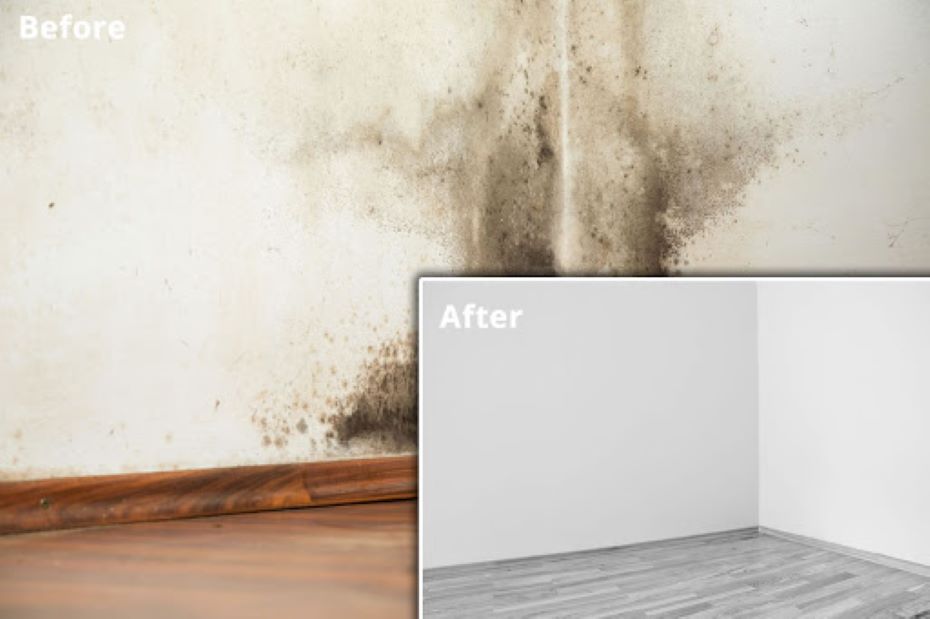 rising damp treatment